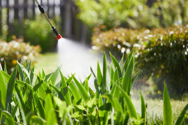 24/7 Emergency Ant Control experts in Alexandria, LA